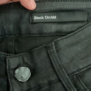 Black Orchid LA Black shine stud pocket Jeans 25